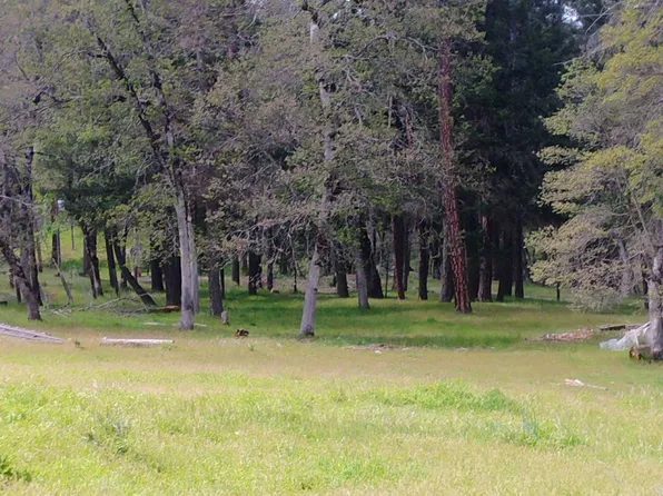 1411 McAlexander Rd, Hayfork, CA 96041