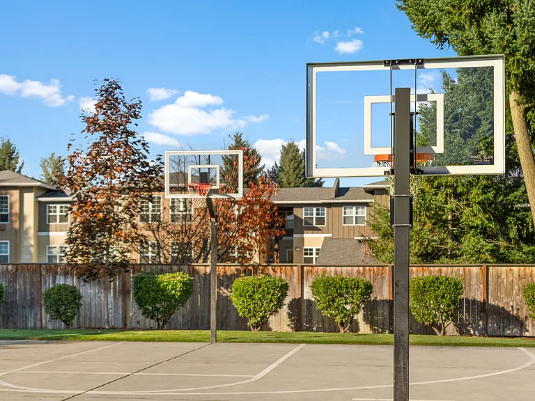 Outdoor Basketball Court