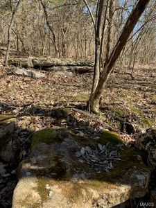 23 Turkey Ridge Ct, Troy, MO, 63379