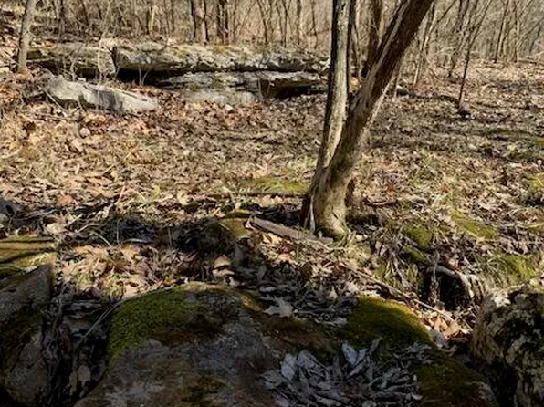 23 Turkey Ridge Ct, Troy, MO 63379