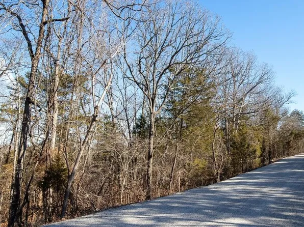 2 Catfish Lane, Forsyth, MO 65653