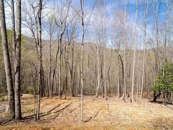 808 Stoney Stream Ln, Arden, NC 28704