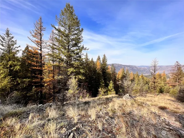 0 TBD Sugar Loaf Road, Curlew, WA 99118