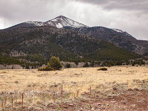 5th image of 1751 County Road 172