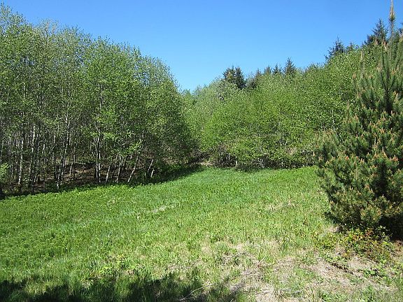 2nd image of Holly Hts Lot 221