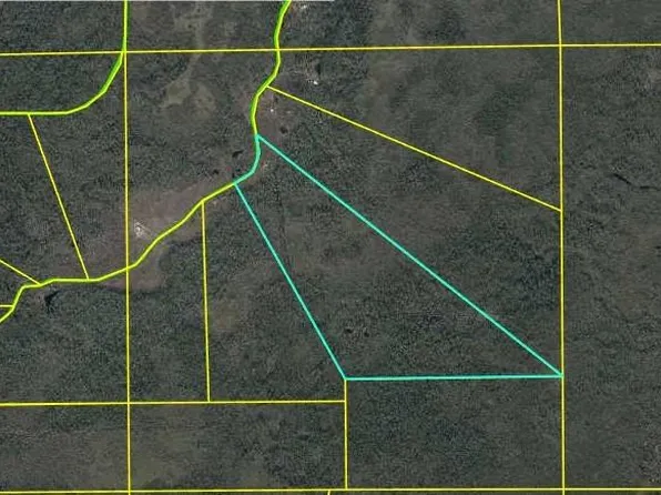 8970 SW Tower Rd Lot 63, Madison, FL 32340