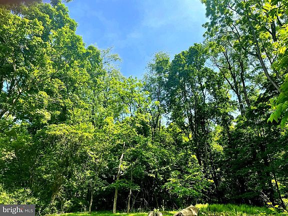 4th image of Miller Rd