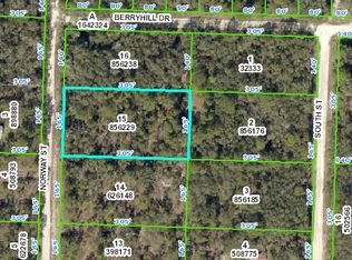 Norway Street, Webster, FL 33597
