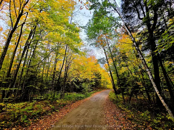 0 N Rusaw Rd, North Kawartha, ON K0L 1A0