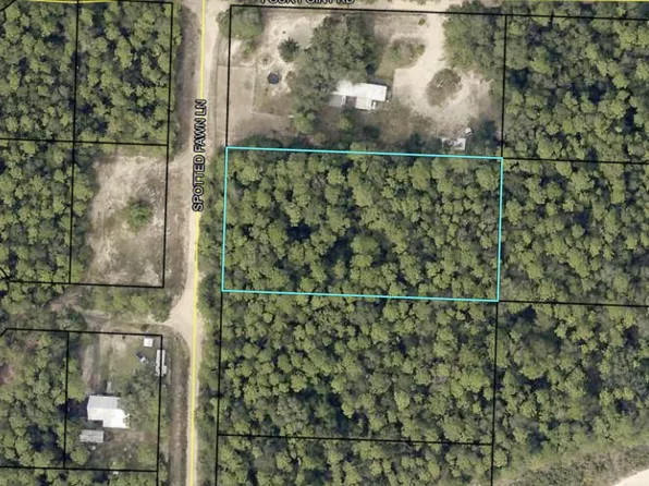 507C Spotted Fawn Ln, Holt, FL 32564