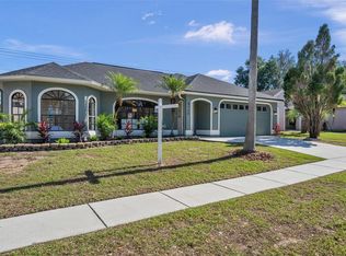 4135 Amber Ridge Ln, Valrico, FL 33594