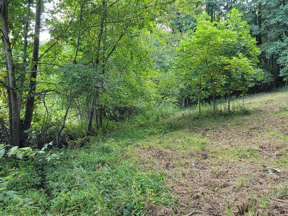 1st image of 0 Drystone Branch Rd