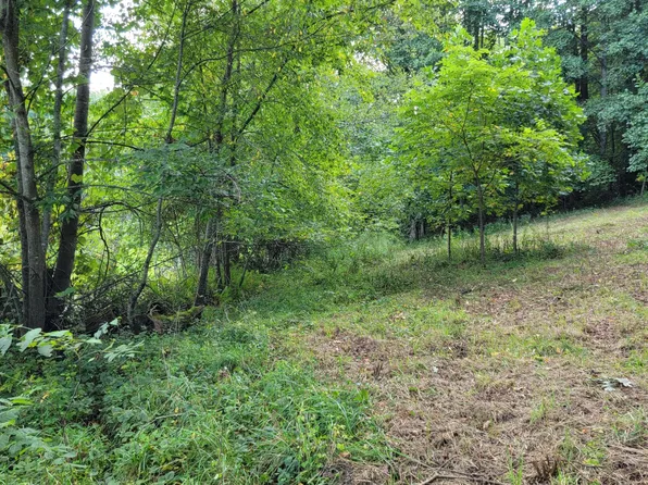 0 Drystone Branch Rd, Mountain City, TN 37683