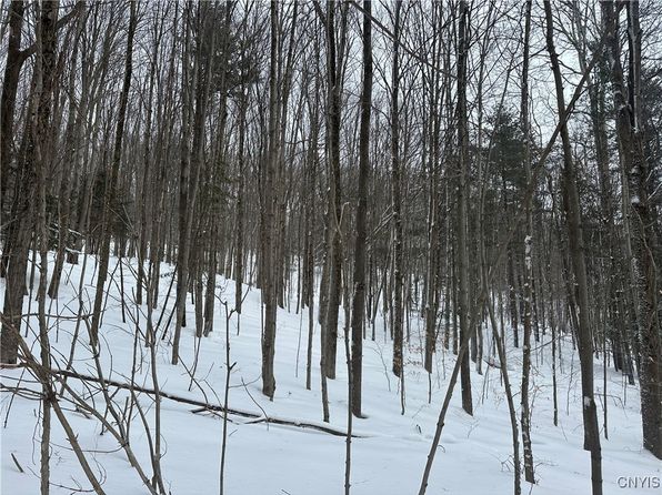 0 Song Mountain Rd #3, Preble, NY 13141