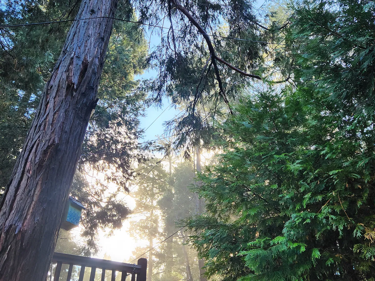 Big Oak Rd, Crestline — Photo 2