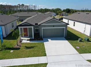 3096 Neverland Dr, New Smyrna Beach, FL 32168