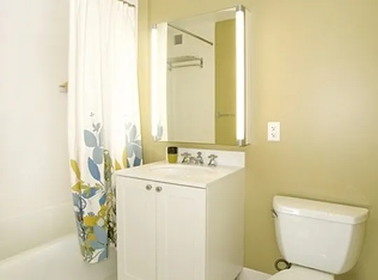 Rented by Blu Sky Realty And Management | media 6