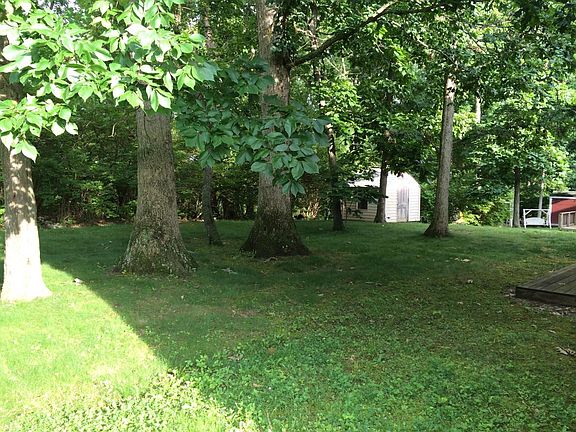 Serene wooded backyard