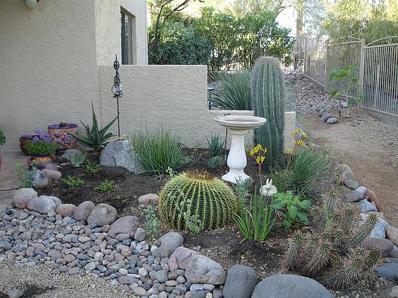 Succulent Garden