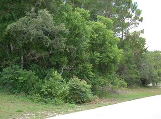 11616 Trumbull Dr, Spring Hill, FL 34609