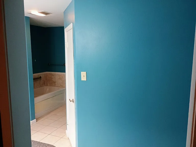 Master Bedroom Bathtub with Hot-tub (Jacuzzi)