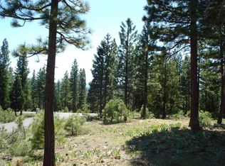 389 Grizzly Ranch Rd, Portola, CA 96122