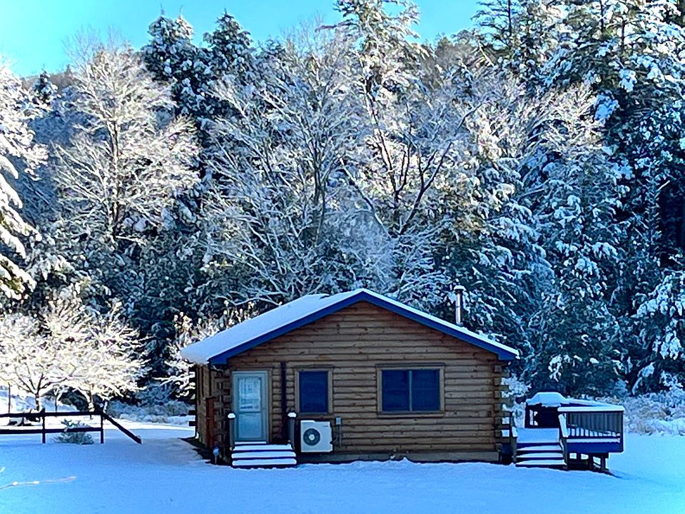 706 Swamp Pond Rd, Narrowsburg, NY 12764 Zillow