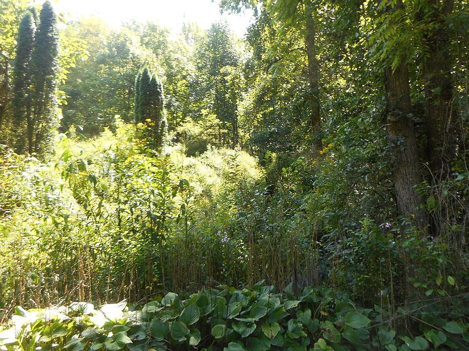 0 Little Ellijay Rd, Franklin, NC 28734 MLS 26031520 Zillow