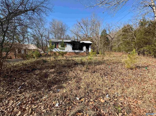 413 Alabama Ave, Scottsboro, AL 35768