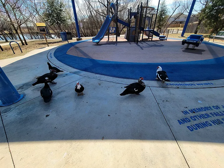 Wheeler Park - this park is in the home's subdivision. Features a serene neighborhood pond, an easy walking loop, covered seating, and a shaded playground.