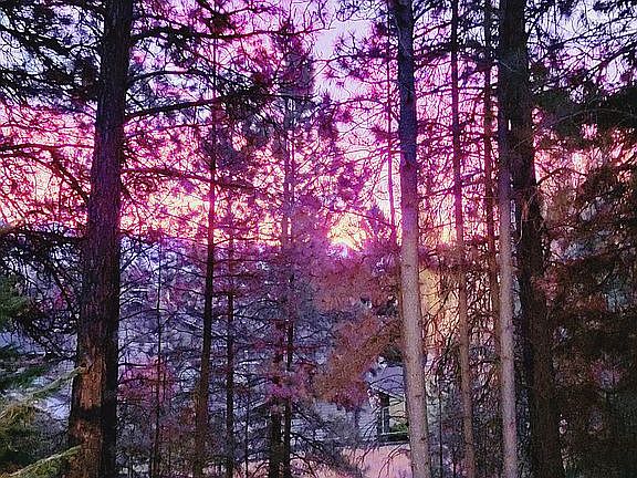 5th image of 378 Ponderosa Ln