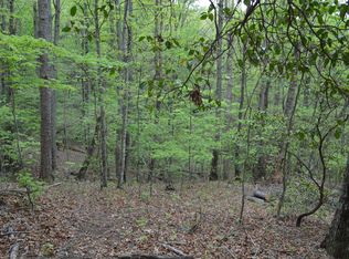 LOT 11 N Ridge Trl, Brasstown, NC 28902