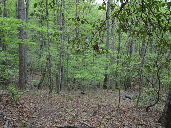 LOT 11 N Ridge Trl, Brasstown, NC 28902
