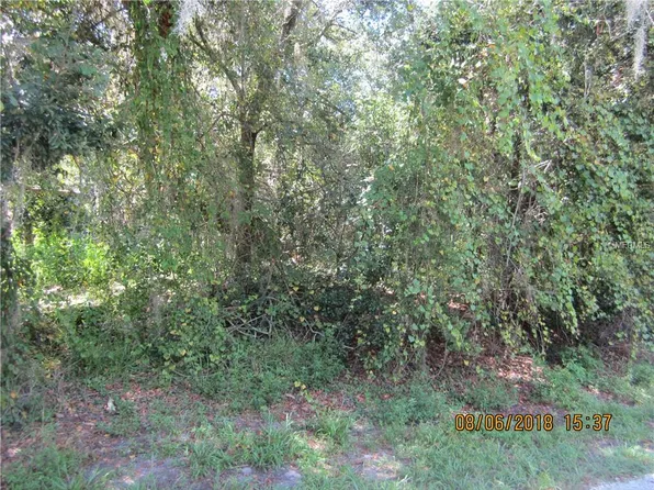 4809 Merlin Cir, Dade City, FL 33523