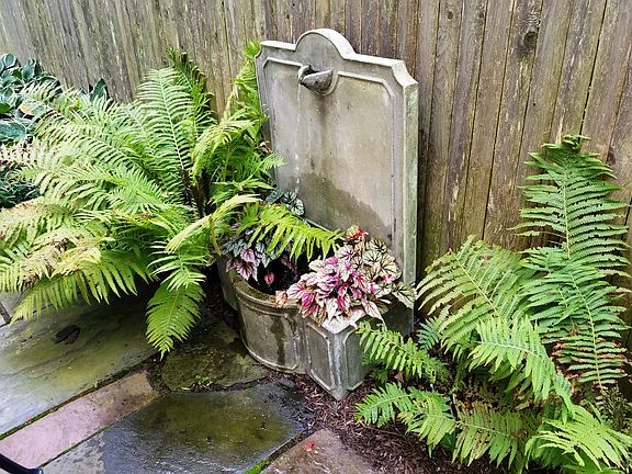 Back Yard Fountain