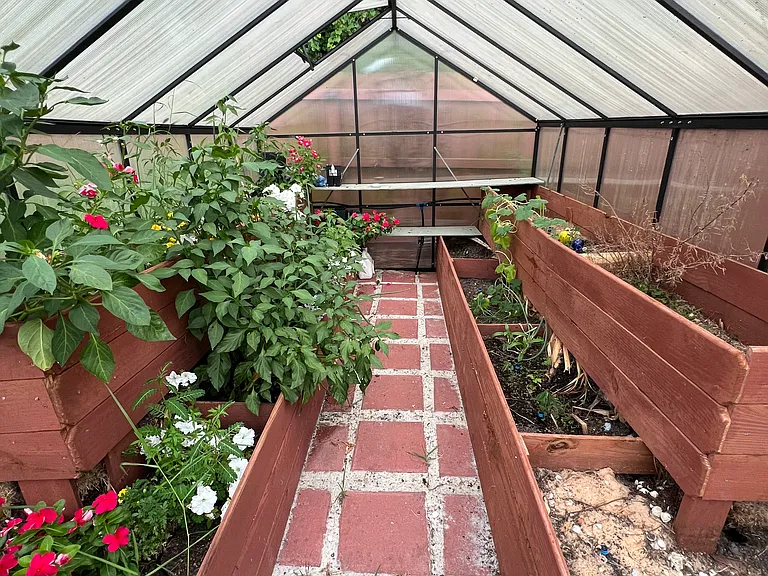 Inside green house