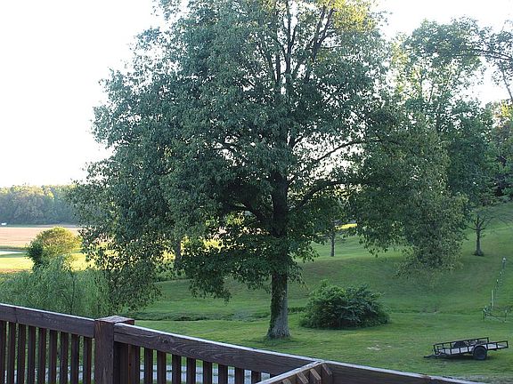 back deck view