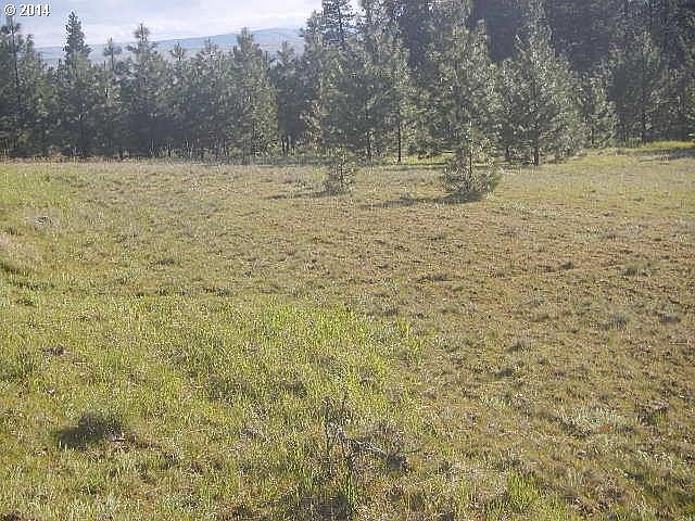 2nd image of Pine Forest Rd #4