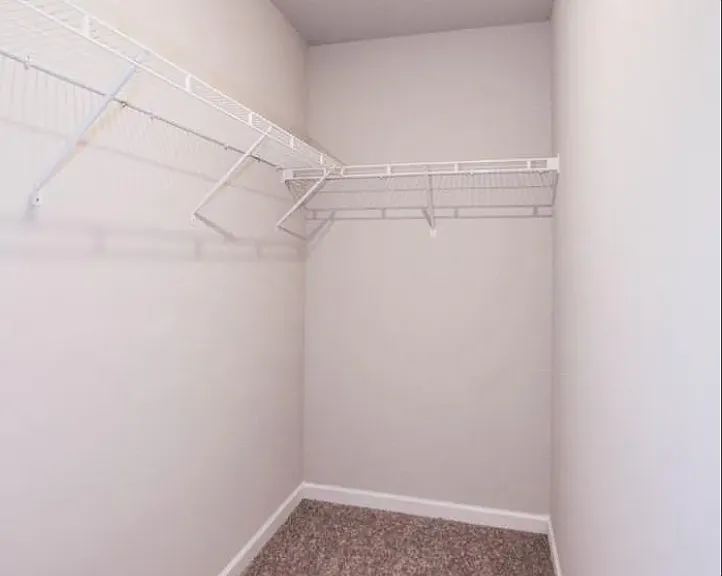 257 Whitetail Cir — Photo 23