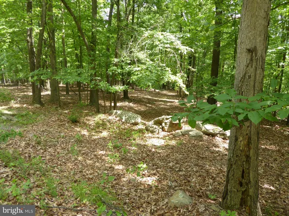 39 Wild Apple Ln, Paw Paw, WV 25434