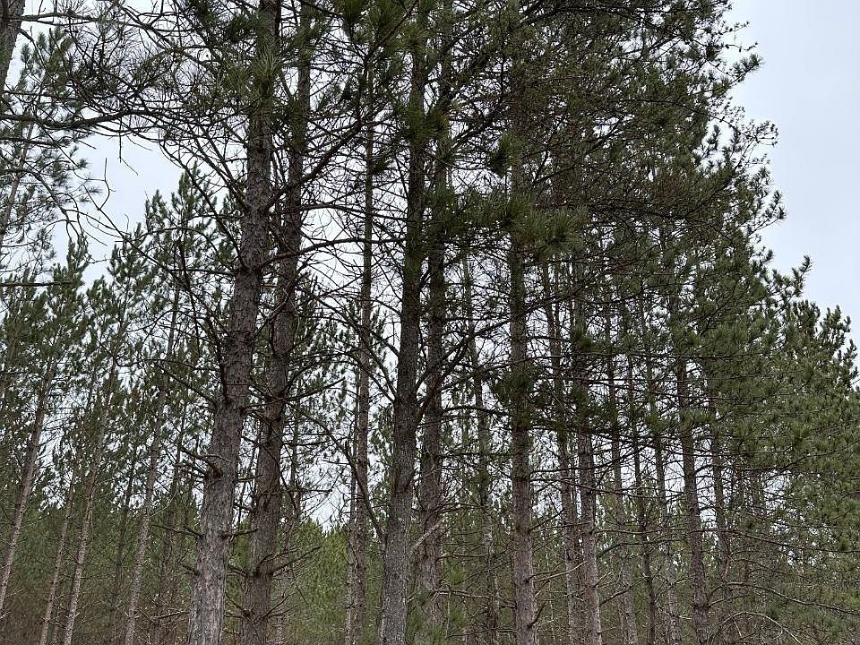 2nd image of Wood Rd #4069-21
