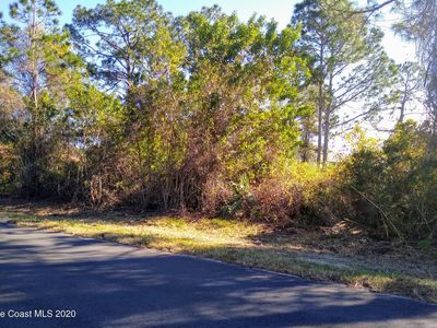 990 Brickell St SE, Palm Bay, FL, 32909