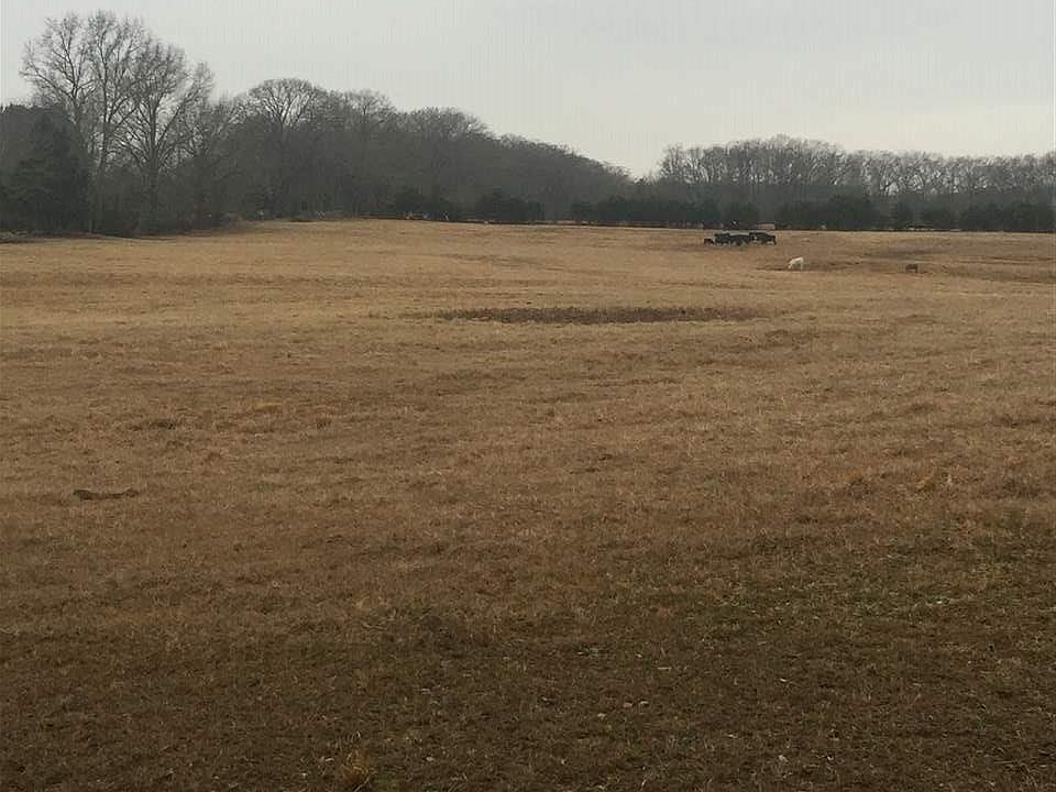 2nd image of Arrowhead