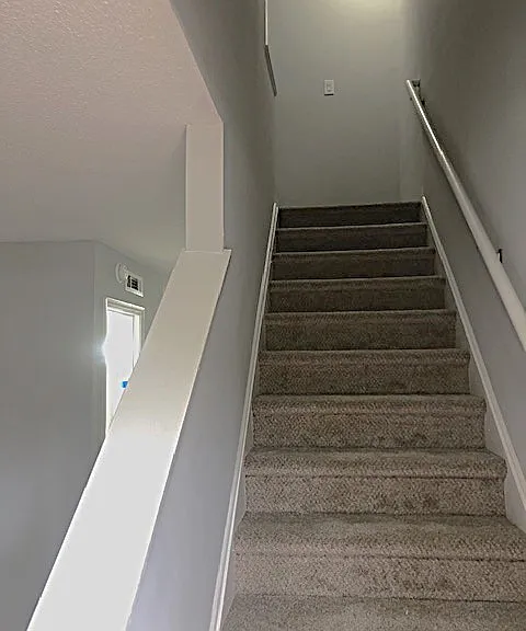 Forest Park Apartments — Photo 6