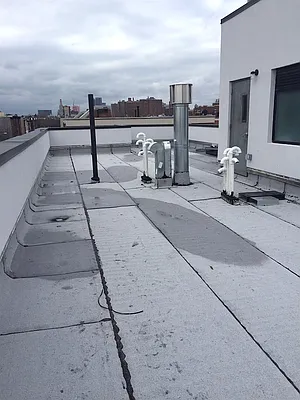 Rented by P Management | media 20