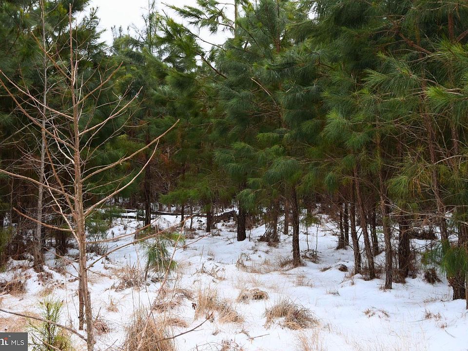 1st image of Jutland Rd