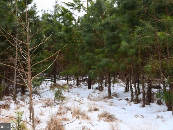 Jutland Rd, Saint Inigoes, MD 20684