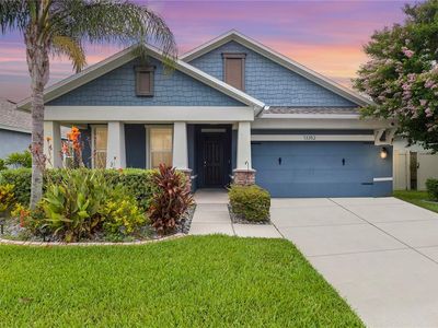 13352 Palmera Vista Dr, Riverview, FL, 33579