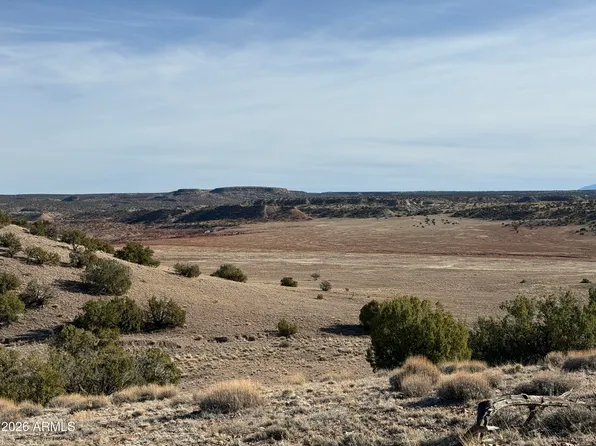 Lot 197 Unit 6 River Springs Ranch -- #197, St Johns, AZ 85936