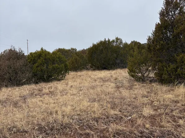 90 Jesse James Rd, Edgewood, NM 87015